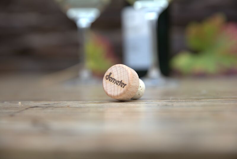 ESTATUS DE CERTIFICACION