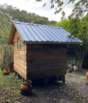 Kit de preparados para compost (6 preparados x 20 gr cada uno)