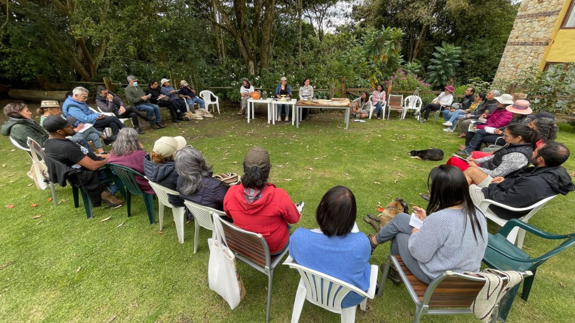 Economía Asociativa Pagado