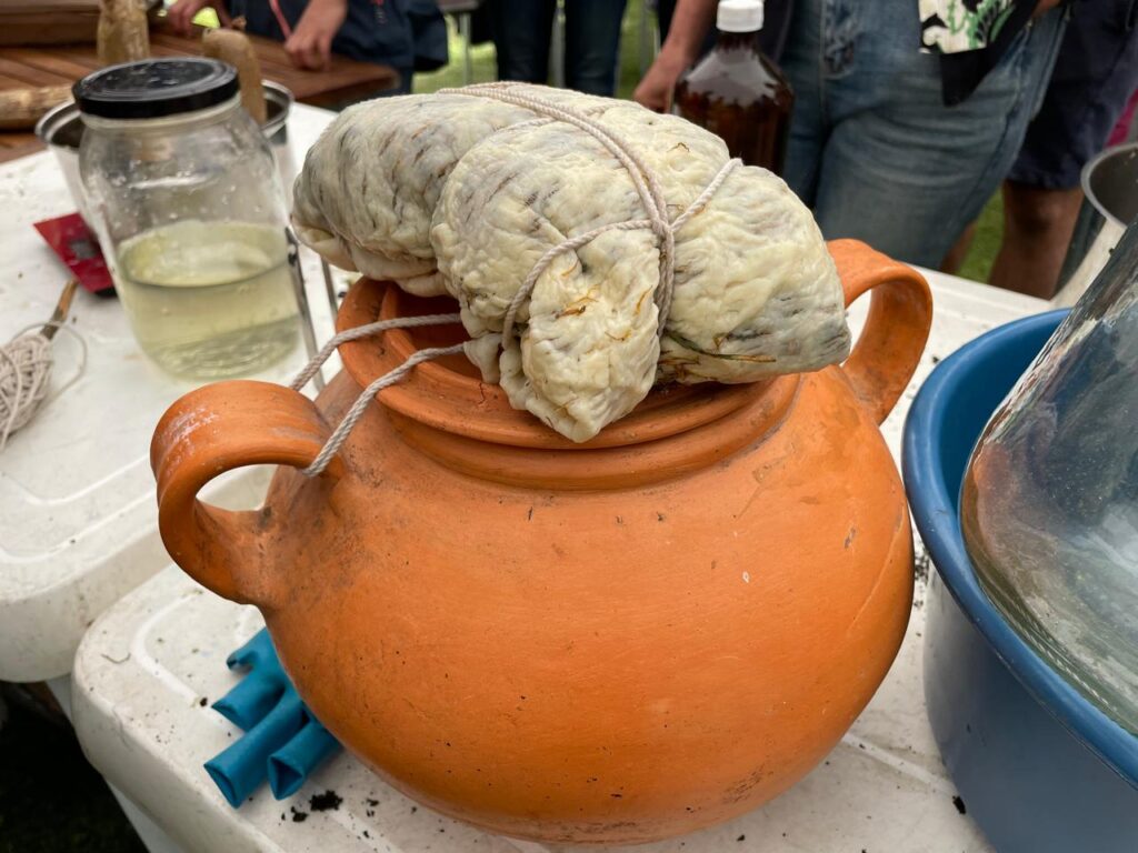 preparado biodinámico