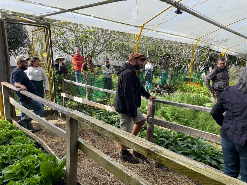 suelo en agricultura biodinámica