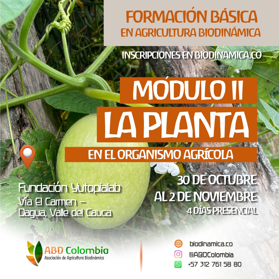 Formación ABD Colombia