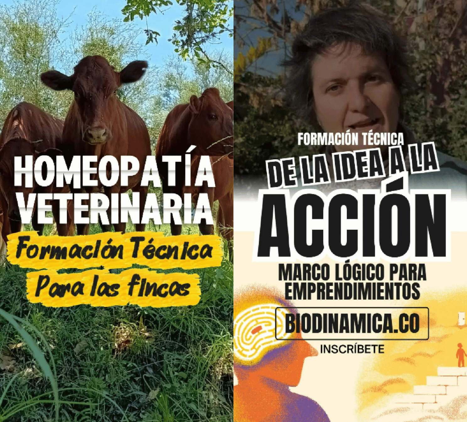 Formación ABD Colombia