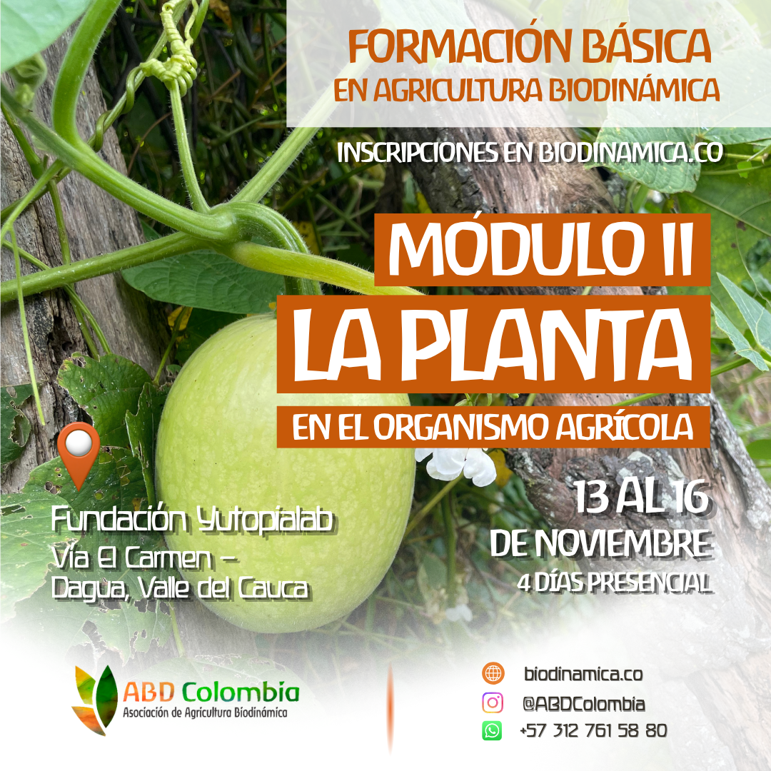 Formación ABD Colombia